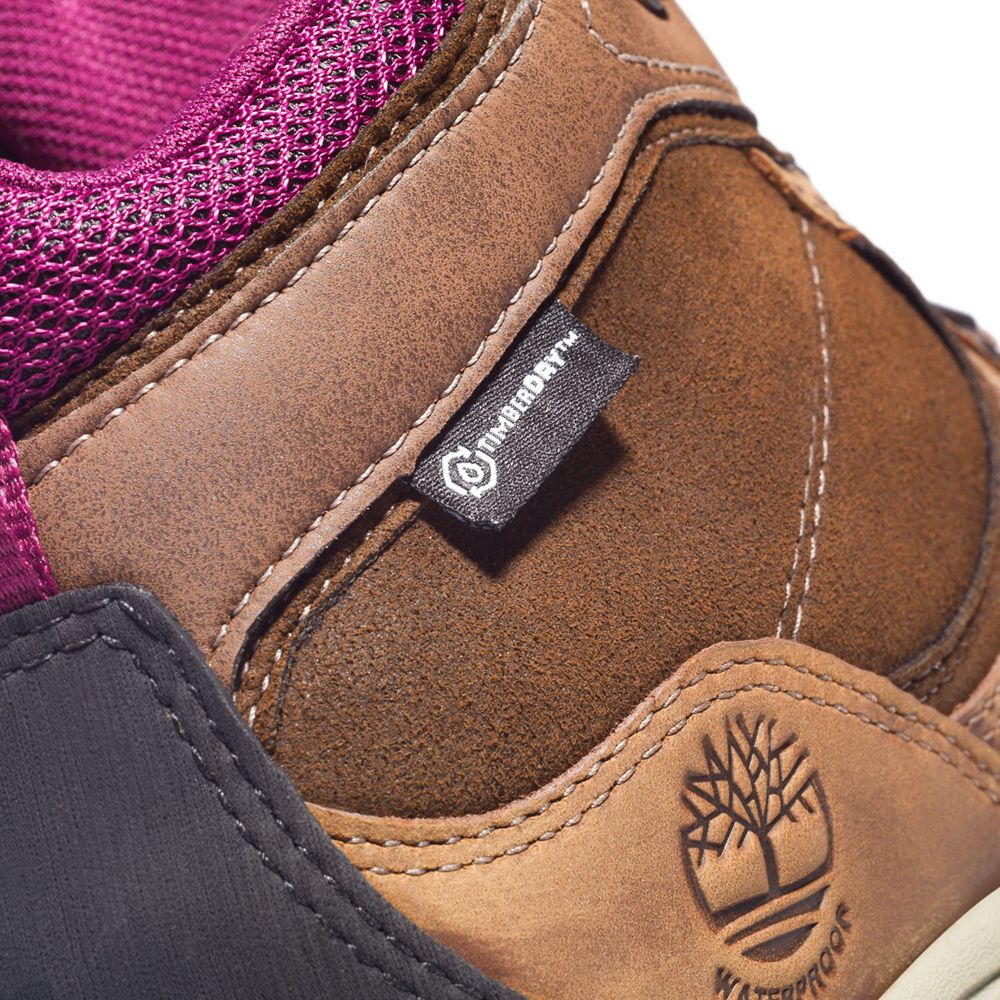 Botas de Caminhada Feminino - Timberland Mt. Maddsen Mid Impermeavel - EIQNG8064 - Marrom